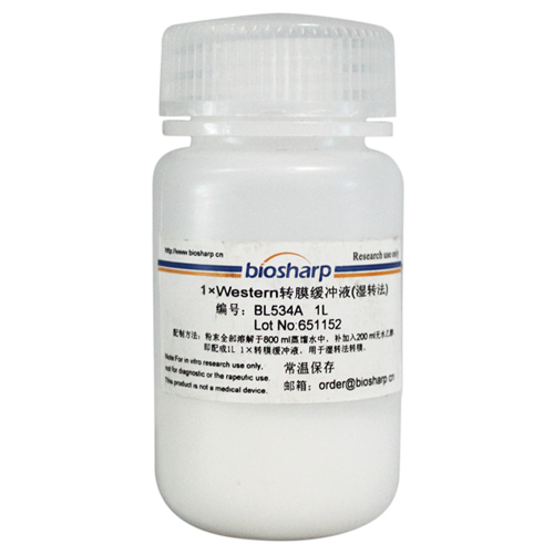 Western转膜液 biosharp实验室专用